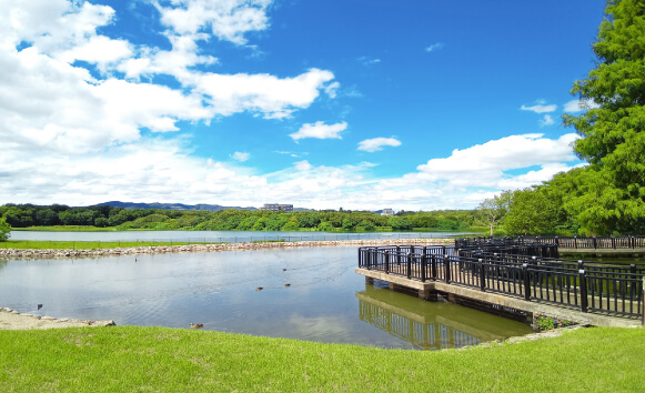 昆陽池公園